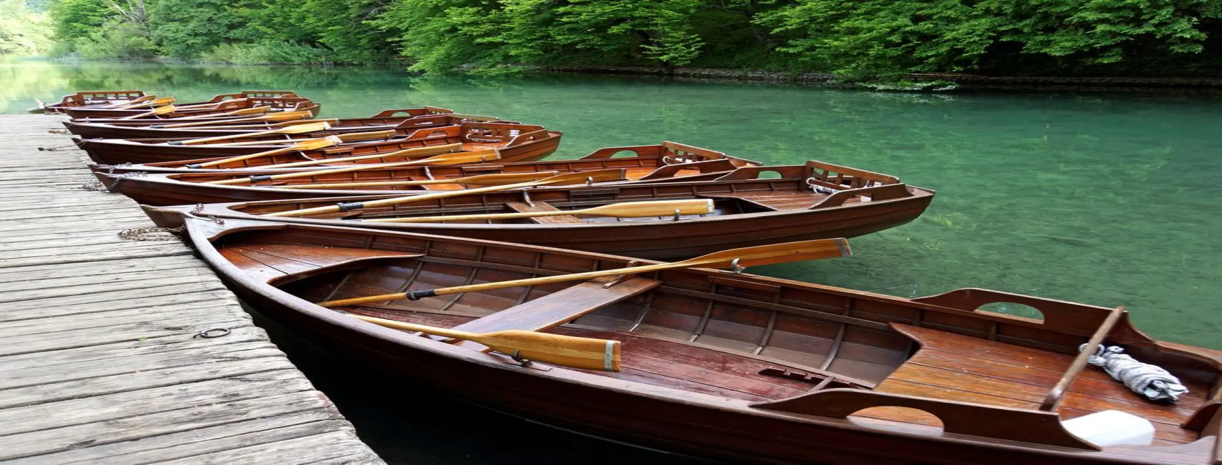 Image for Boat Tour